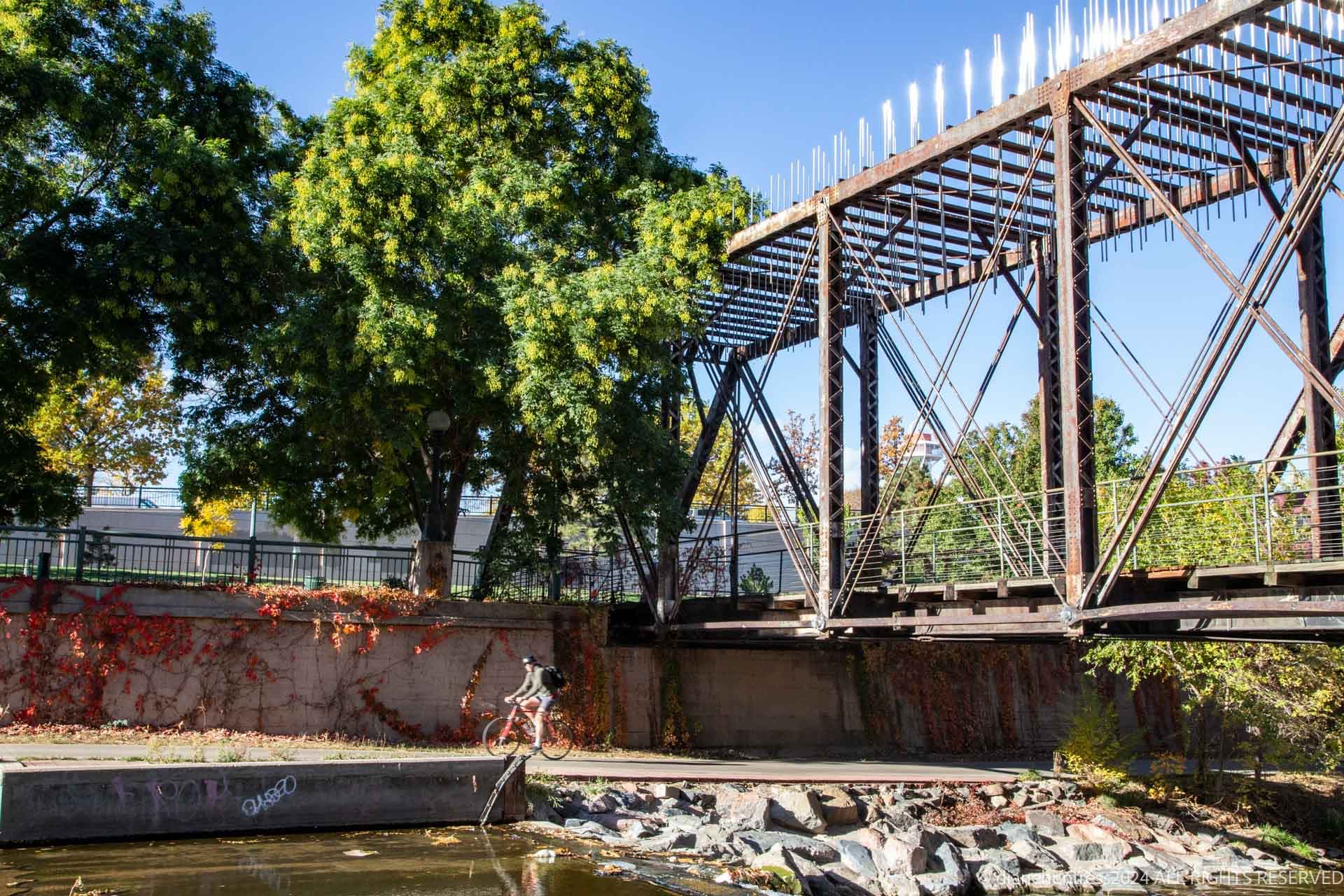 Delgany Bridge. Diane Huntress